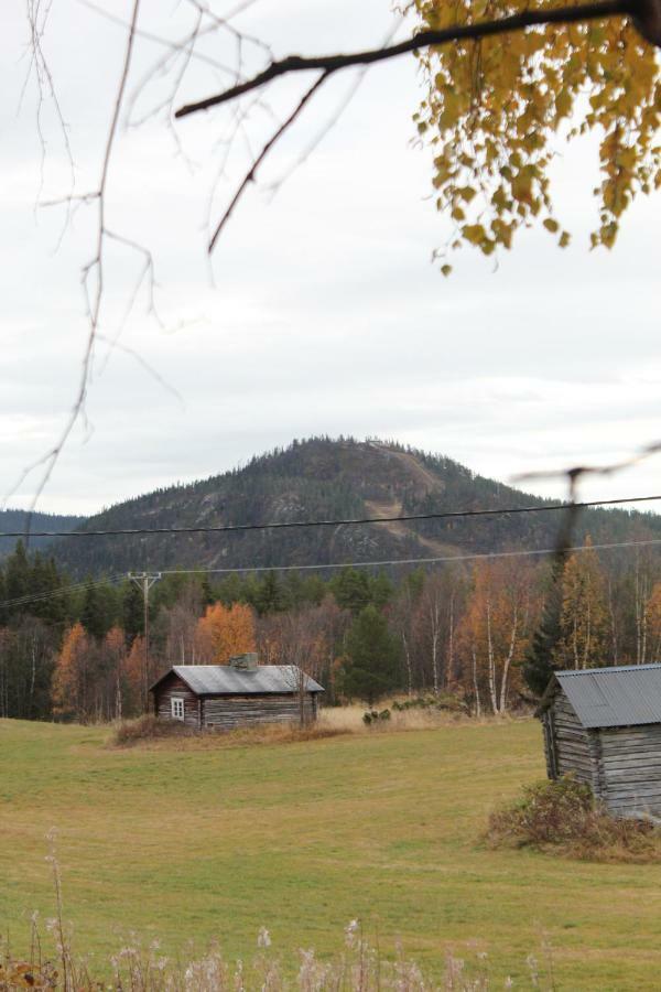 Backens Fjaellboende Tännäs Bagian luar foto