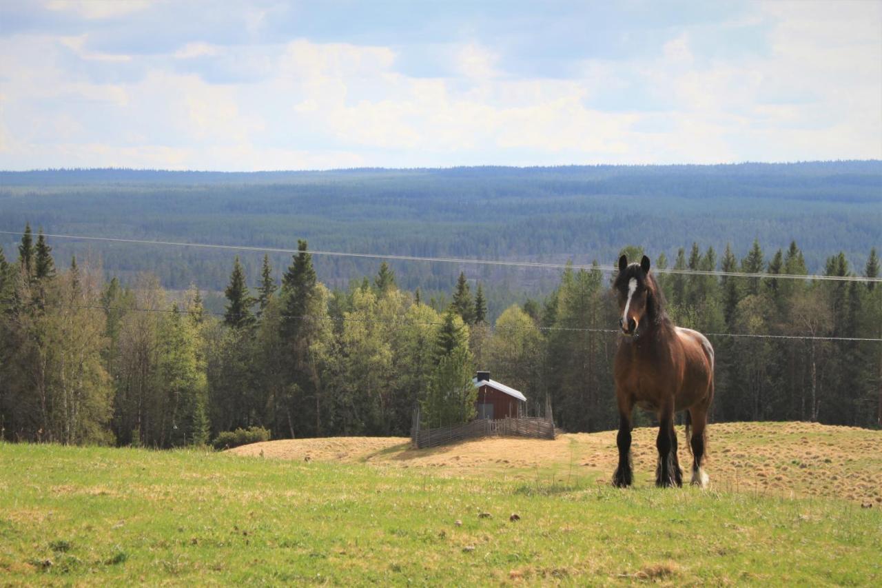 Backens Fjaellboende Tännäs Bagian luar foto